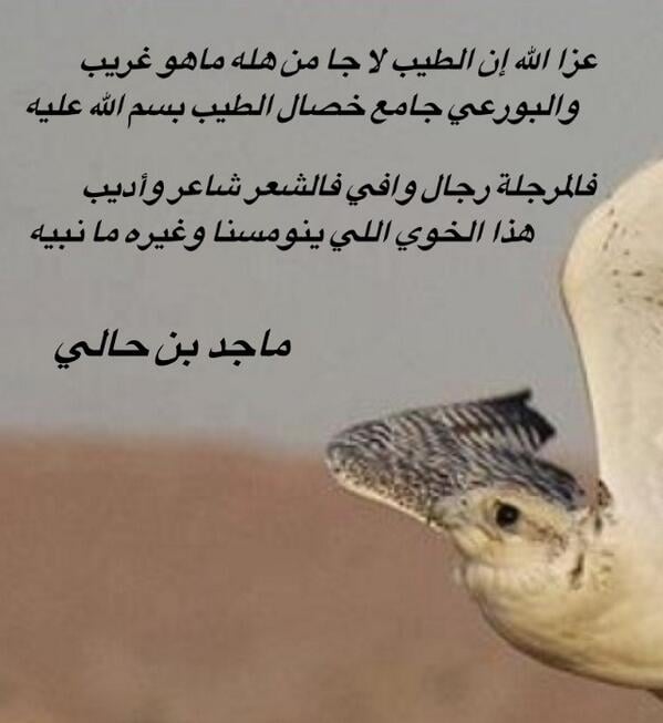 قصيدة مدح في رجل شهم