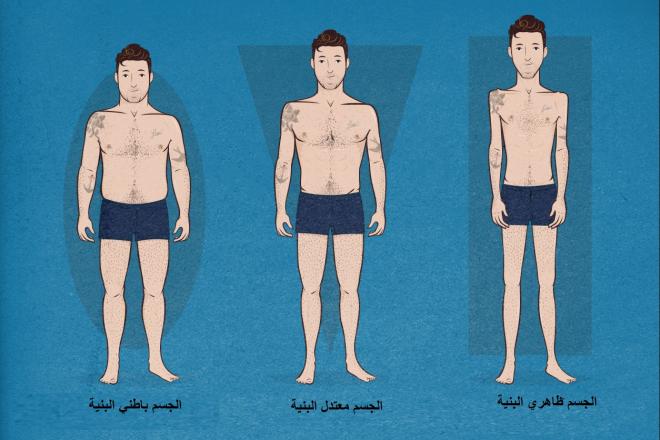 أنواع الأجسام
