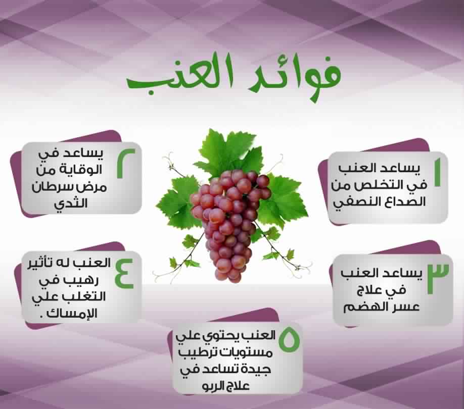 فوائد العنب