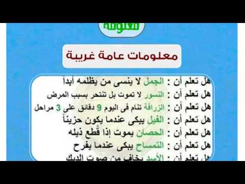 معلومات عامة ثقافية